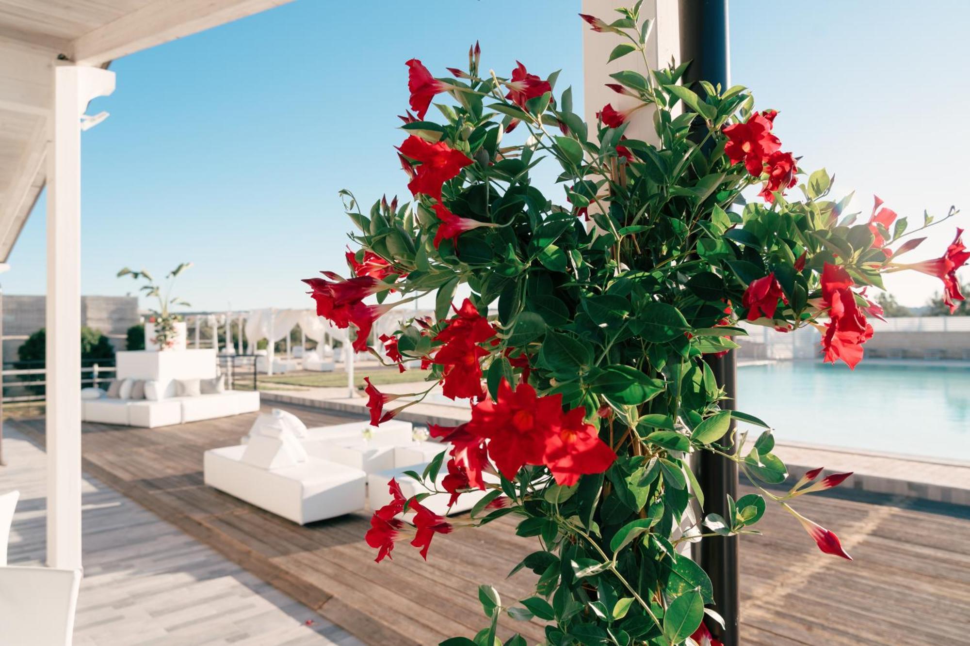 Bed and Breakfast Zyra Garden Club Acquaviva delle Fonti Exterior foto